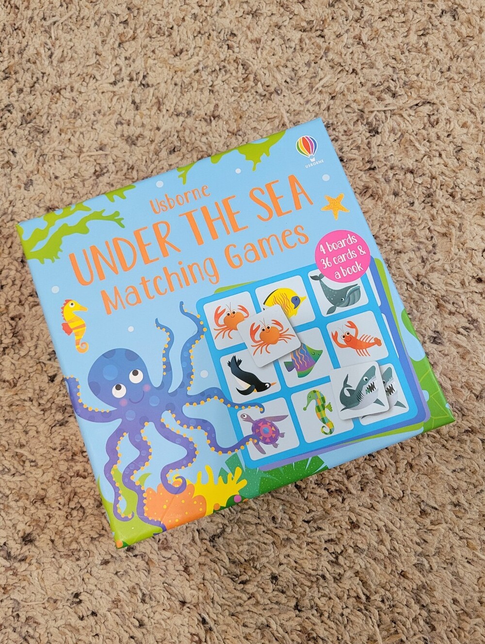 Usborne Sea Matching Game
